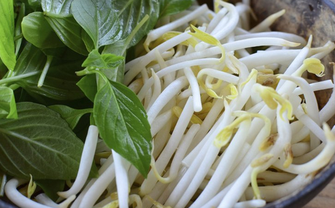 春季吃豆芽有什么好处 春季养生食物有哪些 春季养生吃什么好