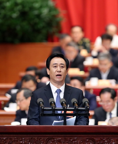 许家印委员作《脱贫攻坚 重在精准 贵在落实》的发言