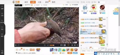 3月6日 一位网友直播上山&ldquo;收夹&rdquo;