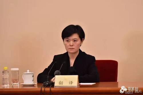 两会女神级翻译又出现! 盘点历届两会