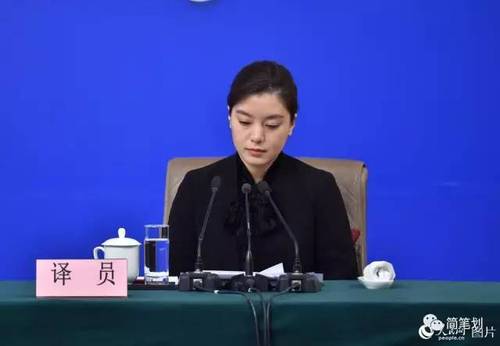 两会女神级翻译又出现! 盘点历届两会