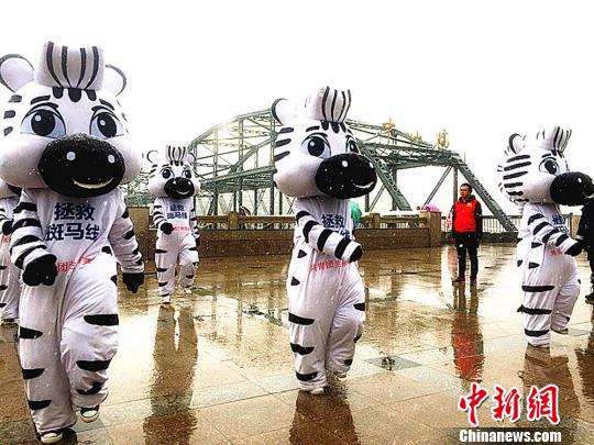 兰州志愿者化身“斑马卫士”雪中卖萌普及交通法规