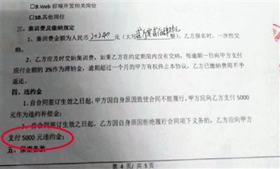 王小姐与卓新智趣签订的集训协议，中途退学违约金为5000元。