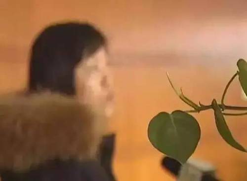 无奈之下文女士将情况反映到建邺区市场监督管理局，一线队员当天下午便来这家名世造型美容店进行检查并了解情况。