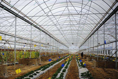 QQ截图20170320145100