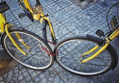 共享单车的下半?。涸擞筒分柿渴蔷赫丶蛩? style=