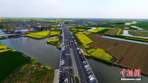 4月4日清明节，也是清明小长假的最后一天，江苏兴化千垛菜花风景区内的油菜花进入盛花期。当日千垛菜花风景区游人如织，由于前来景区游玩的游客太多，景区停车场车位紧张，众多的车辆在景区周边的公路上在排起了长龙，绵延数公里宛如一条汽车“钢铁巨龙”场面十分壮观，公路变也成了一个“超级停车场”。孟德龙 摄