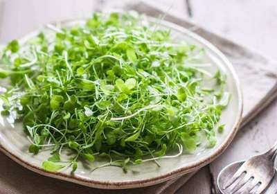 1120713503_1490745662882_title0h