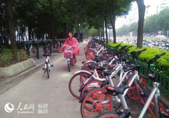 农大东门停放数百辆共享单车。  张霜霜 摄