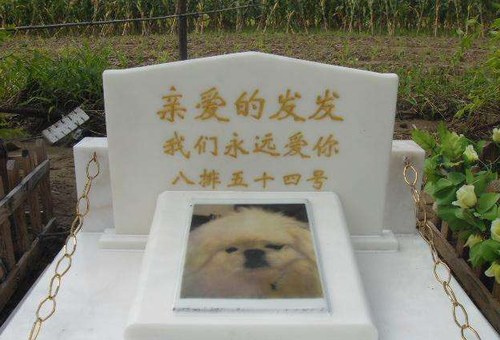 QQ截图20170331164835