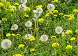 QQ截图20170331071124