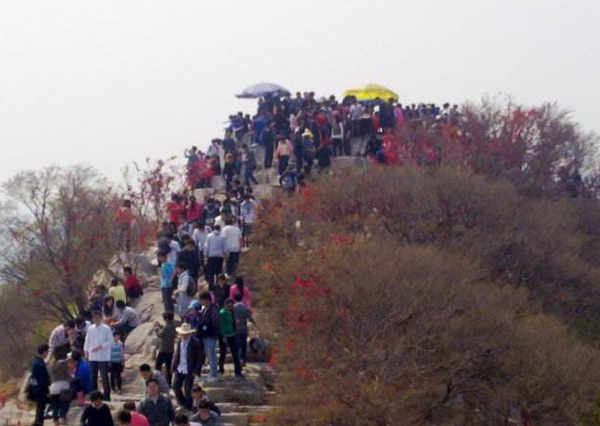 QQ截图20170406102112