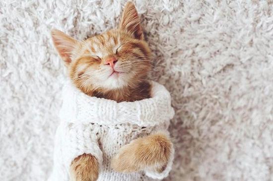 常做这9件事增强免疫力 连肿瘤都害怕