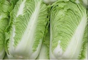 吃大白菜易伤阳气 改善体寒吃什么好？
