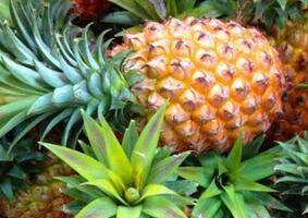 牙齿发黄怎么办？ 多吃7种食物可美白