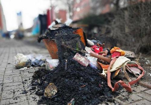 因宠物狗被车撞死 女主人十余次在小区放火泄愤