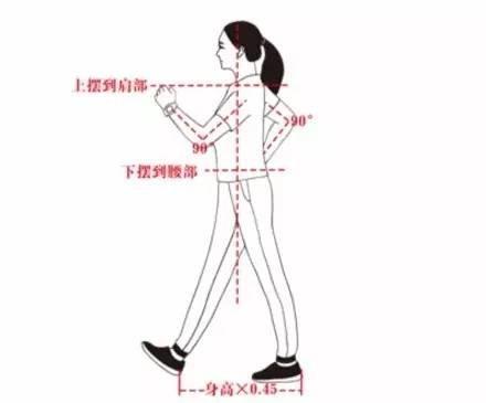 世卫组织公认的最佳运动，7个方法轻松“走”出长寿