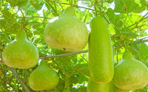 孕期水肿怎么办 孕期如何消肿 怀孕后水肿有什么方法