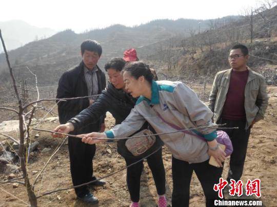 太行“愚公”之妻郭素萍续写“愚公”新篇章（图）