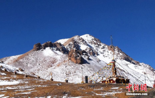 仲春时节，位于甘肃肃南裕固族自治县境内的祁连山自然?；で汉锨停┫冢诖喝蘸挽阊艄獾恼找?，远处雪山巍峨壮观，松柏挺拔俊秀，牛羊悠闲漫步，构成一幅壮美的北国风光画卷。武雪峰 摄