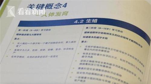 联合国教科文组织发布的《国际性教育技术指导纲要》。