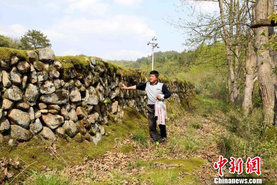 河堤长约400米，顶部宽度在60公分至100公分之间，高度约两米，由石料砌筑而成。　黄一魏 摄