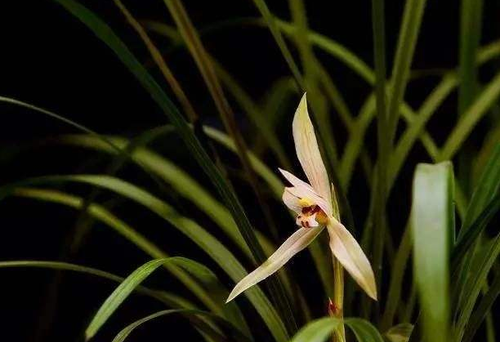 QQ截图20170420151425