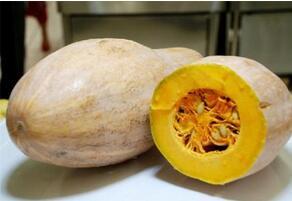 春末夏初易引起燥热 没胃口吃什么好