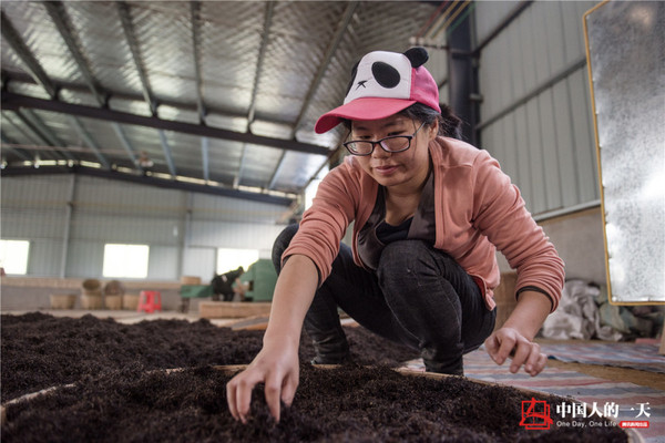 高考状元辞高薪返乡做茶3