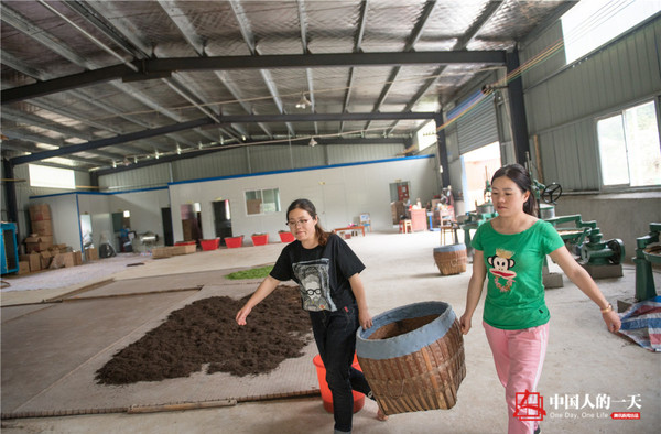 高考状元辞高薪返乡做茶4