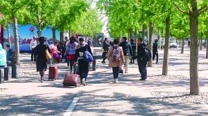 中老年人拎包聚鸟巢等领钱 充耳不闻广播称水很深