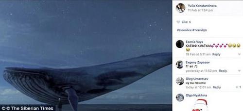 死亡网游侵入英国 曾诱导上百俄罗斯青少年自杀