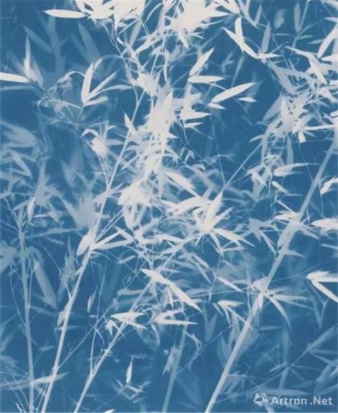 张大力 | 竹子画布蓝晒 | 93×118cm | 2016年