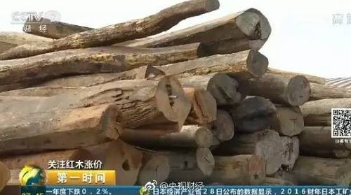 半年价格暴涨五成 这个行业比去年的房价还凶猛