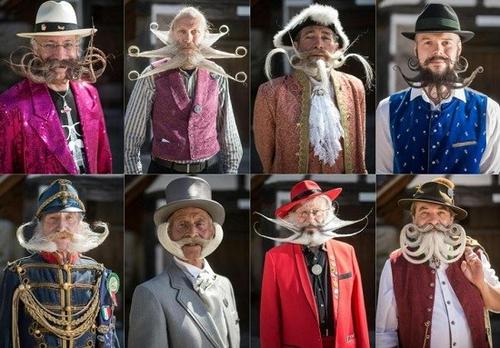 谁的胡子最美？百余名“美髯公”选美争高下（组图）