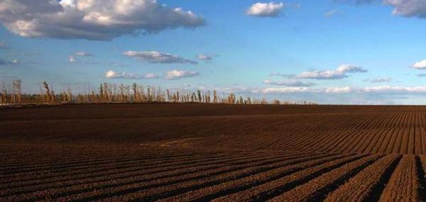 u=4134121331,1334713502&fm=23&gp=0 u=4134121331,1334713502&fm=23&gp=0