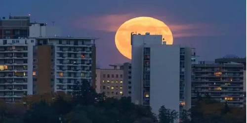 30万元保证金也不要了！杭州这些买房人反悔了