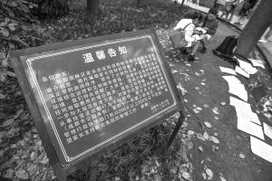 揭秘相亲角背后的产业链