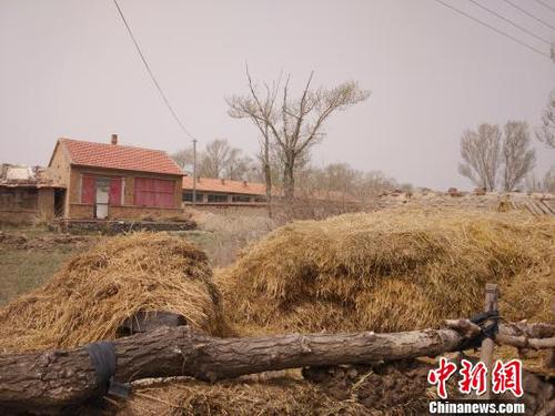 东号村一户农家 陈溯 摄 东号村一户农家 陈溯 摄