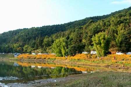 广东森林公园1351个全国最多