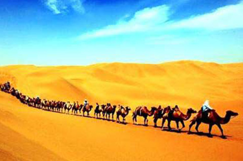 QQ截图20170505135345