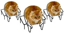 无意识时总抖腿到底为哪般？