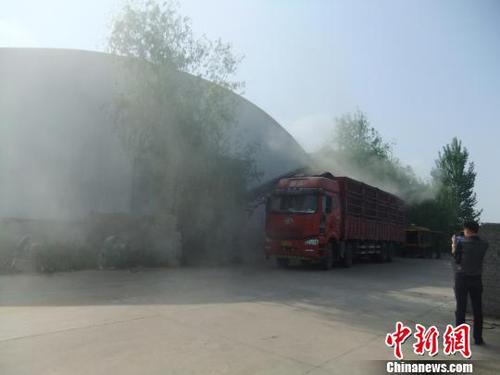 中储粮光武分库正在组织车辆将已经变质的小麦运走?！∥庋?摄