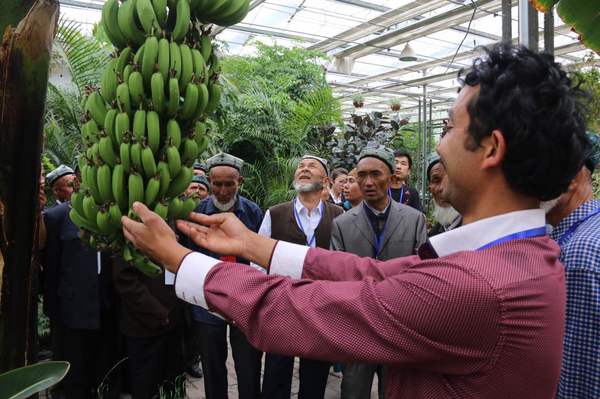 微信图片_20170508234452