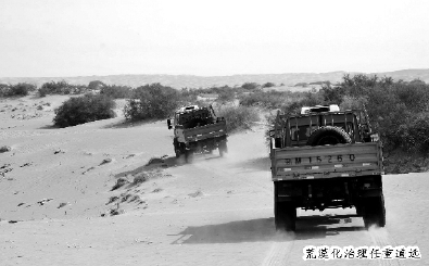 荒漠化治理任重道远