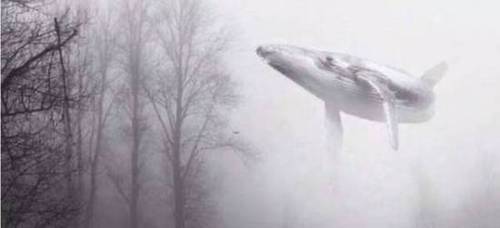 蓝鲸死亡游戏创始人认罪 称受害者都是垃圾，需要被清除