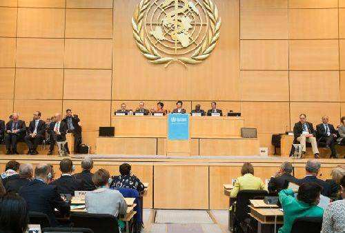 台团体公款赴世卫大会宣传