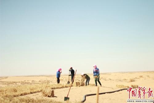 男子沙漠种树14年：希望将环保的种子种进更多人心里