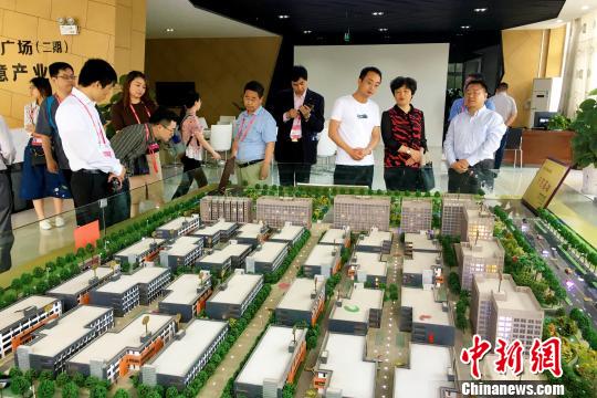 侨商在安徽省肥西县考察交流，寻找合作机遇?！≌徘?摄