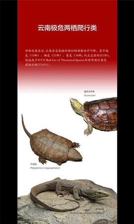 云南发首个省级物种红色名录 2625种生存受威胁